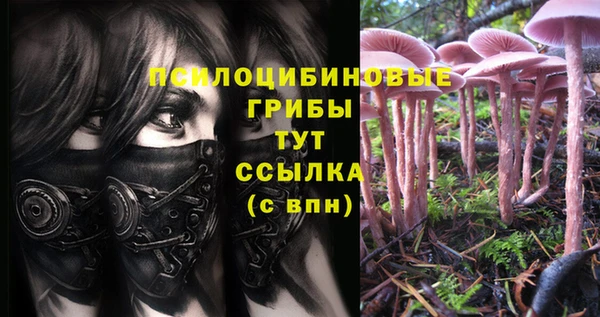 таблы Аркадак