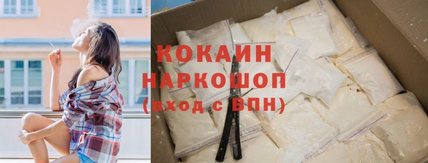 гашик Арсеньев