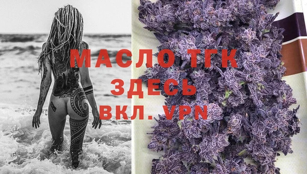 гашик Арсеньев
