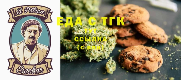 гашик Арсеньев