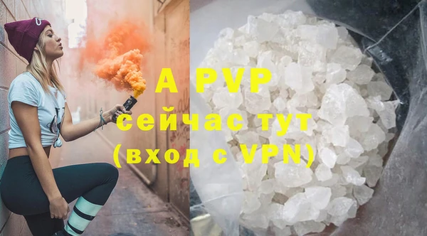 гашик Арсеньев