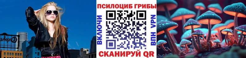 Псилоцибиновые грибы ЛСД  где продают   Выборг 